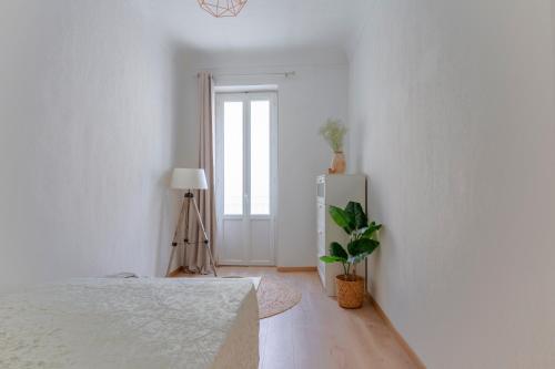 a white bedroom with a bed and a plant at L'Olivier in Touët-sur-Var