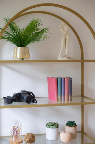 a shelf with books and a camera and a plant at L'Olivier in Touët-sur-Var