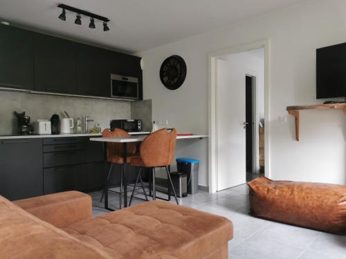 Appartement chaleureux à Haguenau