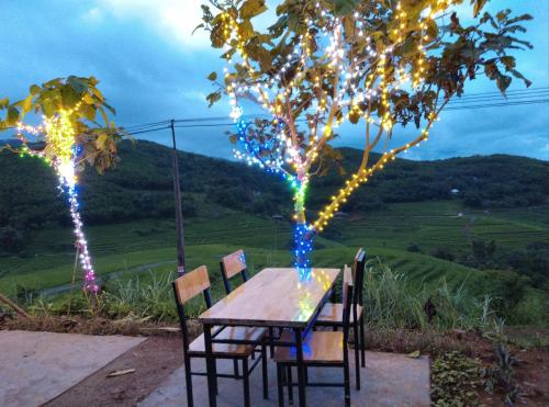 Gambar di galeri bagi Homestay Cây Thông 