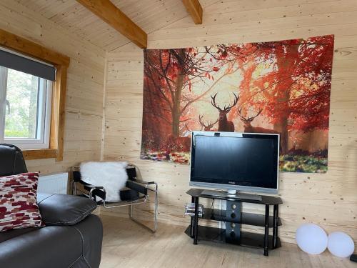 a living room with a television and a painting on the wall at Log Cabin with Hot Tub Large Patio Near Cork city in Cork
