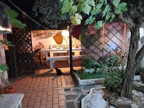 a cat sitting under a table in a garden at B&B S'arenada in Ghilarza