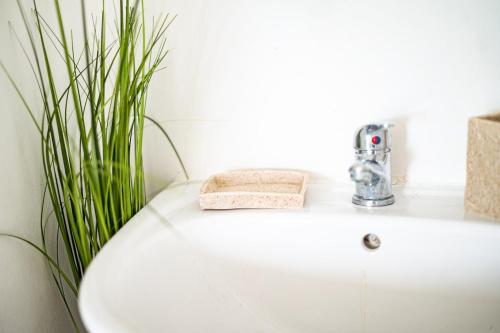 a bathroom sink with a faucet next to a plant at Joli 3P - Piscine & Parking in Bargemon