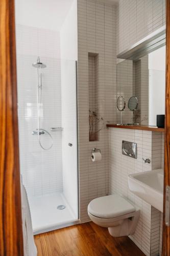 a bathroom with a shower and a toilet and a sink at Bed&Breakfast & Apartment Klafé in Brno