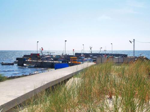 une plage avec une jetée et un peu d'eau et d'herbe dans l'établissement Holiday Home Iivo - 350m from the sea by Interhome, à Vester Sømarken
