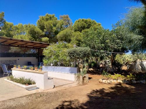 een tuin met een bank en bomen op de achtergrond bij Villa Debora Favignana (TP) in Favignana