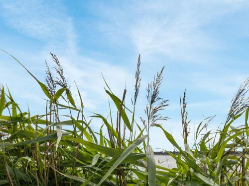 a field of grass with the sky in the background at Holiday Home Julietta - 50m from the sea by Interhome in Neksø