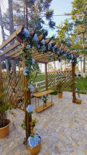 Zahrada ubytování Sonnenblumen chalet