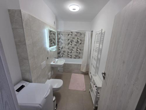 a small bathroom with a toilet and a sink at Milan Luxury Apartaments XVIII in Târgu-Mureş