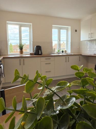 a kitchen with white cabinets and a plant in the foreground at ResiLets - Berwick House - Large 4 Bed Townhouse - Contractor stays in Cowpen