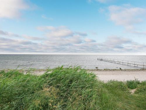 Příroda nedaleko prázdninového domu