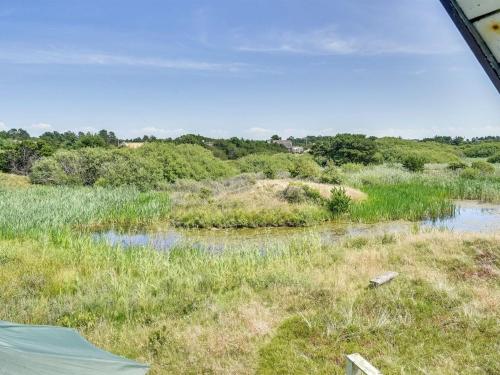 widok pola z trawą i wodą w obiekcie Holiday Home Inra - 400m from the sea by Interhome w mieście Fanø