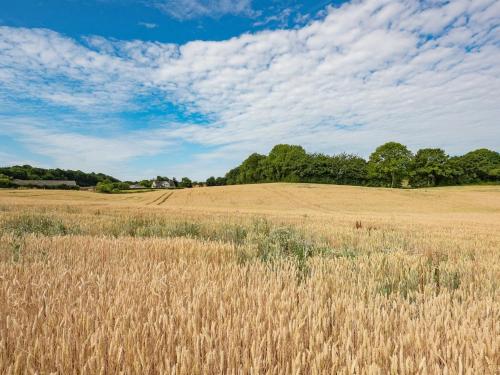 a field of dry grass with trees in the background at Holiday Home Edithe - 250m from the sea by Interhome in Augustenborg