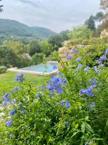 a field of blue flowers with a lake in the background at Domaine de la Cascade Parfumée in Grasse