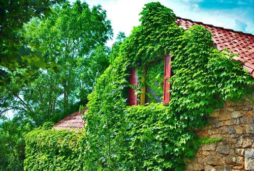 Zahrada ubytování La maison des bois