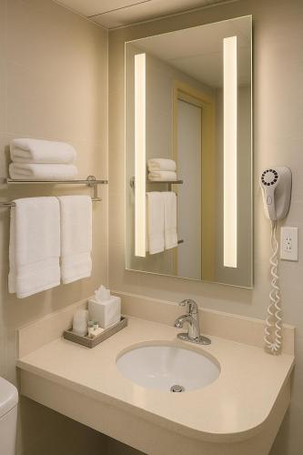 a bathroom with a sink and a mirror and towels at Floral Park Motor Lodge in Floral Park