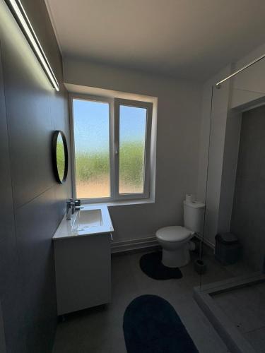 un bagno con un water, un lavandino e una finestra di Vanex a Petricani