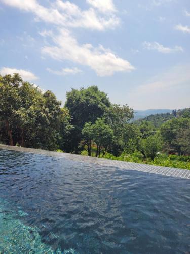 a pool of water with trees in the background at Domaine de la Cascade Parfumée in Grasse