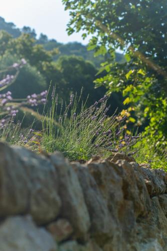 a stone wall with grass and flowers in the background at Domaine de la Cascade Parfumée in Grasse