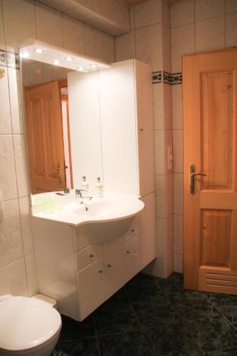 a bathroom with a sink and a toilet and a mirror at Gesundheitshof Lohninger in Mondsee
