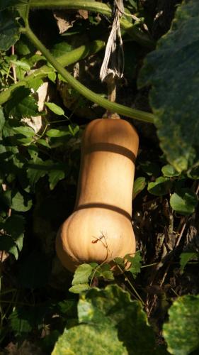 a large beige object sitting in the grass at Domaine de la Cascade Parfumée in Grasse