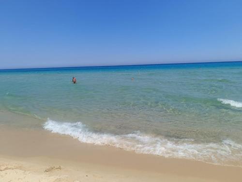 Φυσικό τοπίο κοντά σε αυτός ο ξενώνας