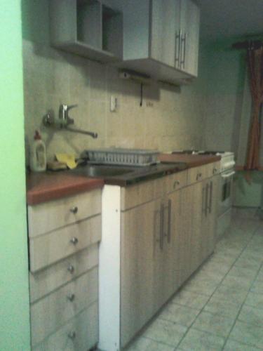 a kitchen with a sink and a counter top at Sunny Villa in Belgrade