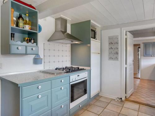 a kitchen with blue cabinets and a stove at Holiday Home Edelgard - 4-5km from the sea by Interhome in Kongsmark