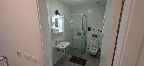 a bathroom with a shower and a sink and a toilet at Park Vila apartment in Belgrade