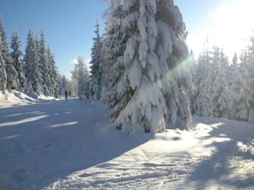 Cottage in Liberec with Sauna and Ski Nearby v zimě