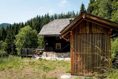 a log cabin in a field with trees in the background at Waldhütte Stifthube in Obertal