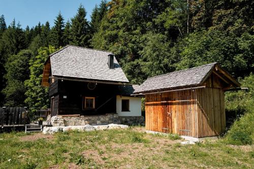 a small house and a shed in a field at Waldhütte Stifthube in Obertal