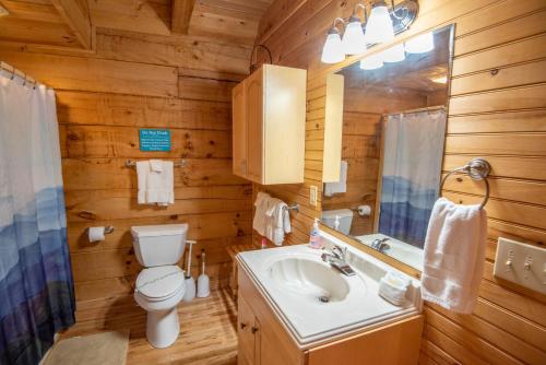 a bathroom with a toilet and a sink and a mirror at Serene & Cozy 3bd Cabin- Dogs Welcome, Hot Tub, Mins to Parkway in West Jefferson
