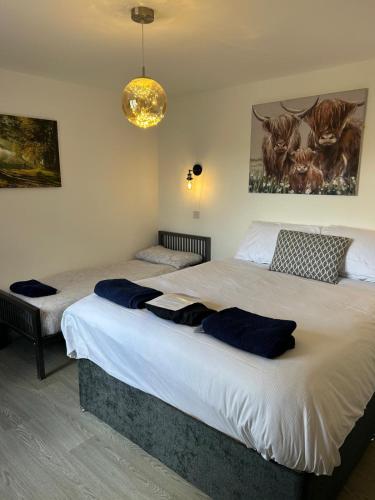 a bedroom with two beds with blue pillows on them at POPPY LUXURY LODGE Sleeps 8 at Fairview Farm, Ravenshead, Nottingham Near Sherwood Forest, Dog Friendly, Farm Stay great for wedding groups, families, Hen Do's, friends gatherings with amazing views in Blidworth