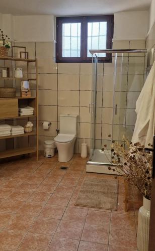 a bathroom with a toilet and a shower in it at Villa Penelope Luxury Retreat with Pool & Timeless Charm in Douliana