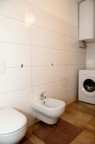 a bathroom with a toilet sink and a washing machine at Bed & Fishing House in Slap ob Idrijci