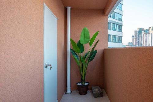 a plant in a corner of a room with a window at 해운대 웨이브 Haeundae wave in Busan