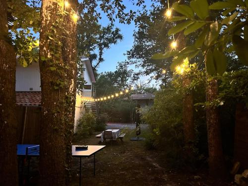 a backyard with a table and a string of lights at Lacanau, 6 personnes, à côté du lac, sous les pins au calme in Lacanau