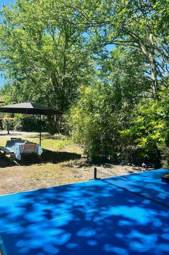 a picnic table and an umbrella in a yard at Lacanau, 6 personnes, à côté du lac, sous les pins au calme in Lacanau