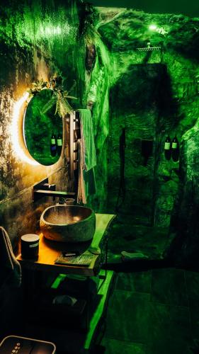 a bathroom with a sink in a green room at Love room Piccola casa côté Forêt in La Verpillière