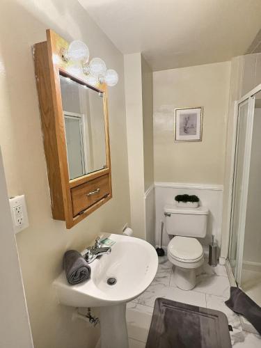 a bathroom with a sink and a toilet and a mirror at Historic LaSalle Downtown in Fort Wayne