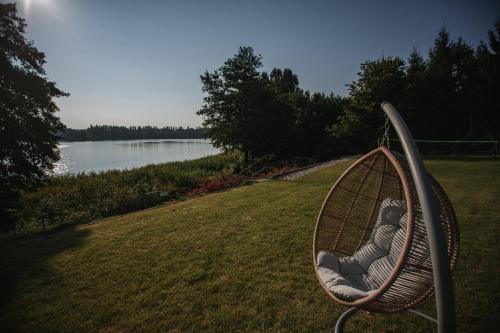 a bench sitting on the grass next to a lake at Warmiński Sad in Olsztyn