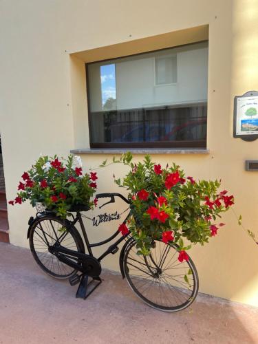 Attività di ciclismo presso l'appartamento o nelle vicinanze