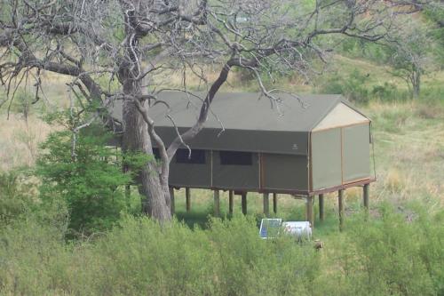 Příroda nedaleko luxury tent