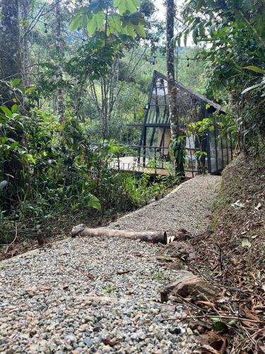 a bridge in the middle of a forest at Silvery Refugio Natural Hotel Boutique in San Carlos