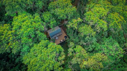 an aerial view of a house in the middle of a forest at Silvery Refugio Natural Hotel Boutique in San Carlos