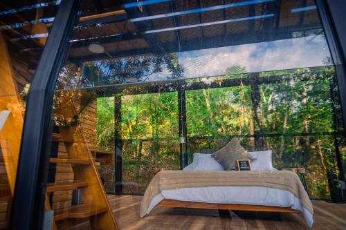 a bedroom in a tree house with a large window at Silvery Refugio Natural Hotel Boutique in San Carlos