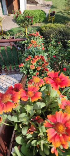 a garden with red and orange flowers and a bench at Apartmani Mali Raj Rudnik in Rudnik Kačerski