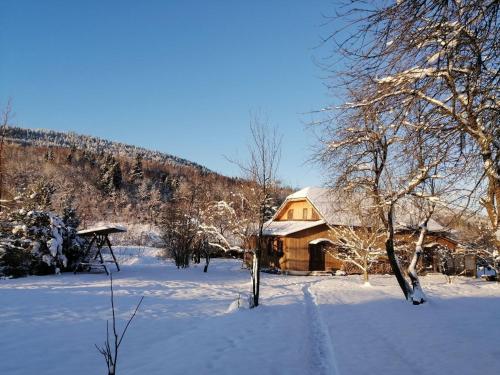 Φωτογραφία από το άλμπουμ του Yasna Sadyba σε Yasenitsa Zamkova