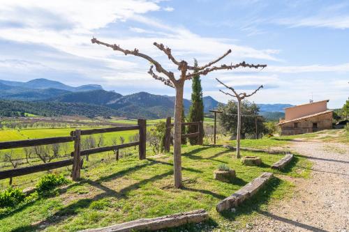 a tree in a field next to a fence at La Pallisa in Peñarroya de Tastavins